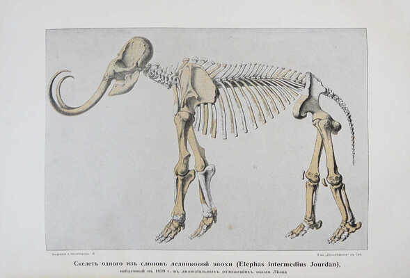Крэмер Г. Вселенная и человечество: в 5 т. СПб.: Просвещение, 1896.